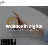 Wallaceyap.com - Digital Marketer, The Website & Traffic Builder